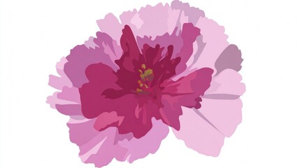 A beautiful digital illustration of a single pink carnation flower in full bloom with layered petals on a white background.