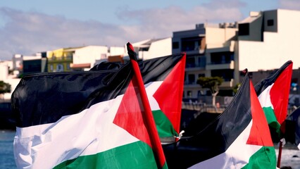 Multiple Palestinian flags are waving near the ocean in a Canary Islands city, showing support for...