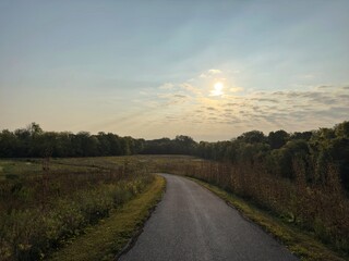Sunlit country road curving through green fields at sunrise