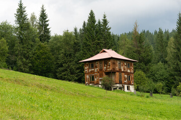 Rustic Wooden House Nestled in a Lush Forest