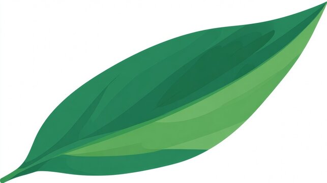 A simple, stylized illustration of a single green leaf on a white background.