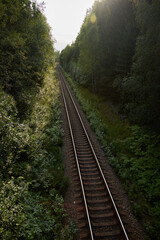 Fototapeta premium A Serene Railway Track, Wonderfully Surrounded by Lush and Vibrant Greenery of Nature