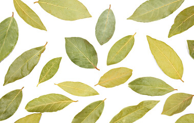 Dried bay leaves set isolated on white background, top view