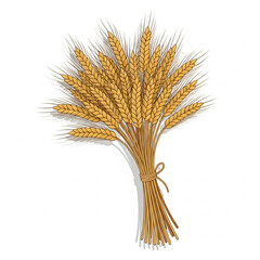 Fototapeta premium Harvest Wheat Bundle isolated on white background, vector style.