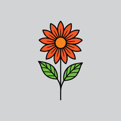 Gazania Red Daisy Botanical Illustration © AB vector designer