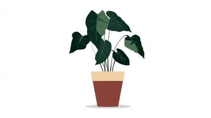 Illustration of a potted plant with large, dark green leaves.