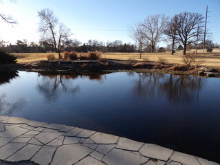 Tranquil Park Pond Scene