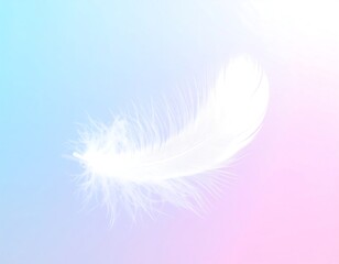 Obraz premium Soft feather on pastel gradient