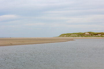 Typical summer landscape in north sea under blue sky, Beach and european marram grass on sand dunes, Texel is one of the Dutch Wadden Islands off the coast of the Netherlands, Noord Holland province.