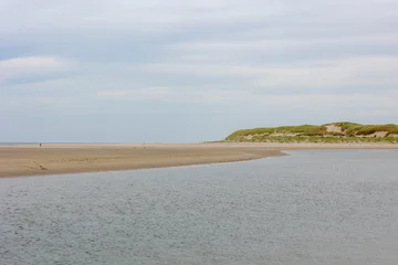 Wanddecoratie Noordzee Typical summer landscape in north sea under blue sky, Beach and european marram grass on sand dunes, Texel is one of the Dutch Wadden Islands off the coast of the Netherlands, Noord Holland province.  © Sarawut