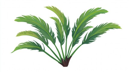 Fototapeta premium Isolated fresh green tropical palm tree leaves on a white background