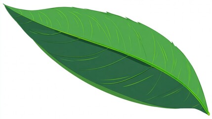 Obraz premium Vibrant green leaves, fresh and isolated on a clean white background, capture the essence of natural, tropical foliage