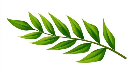 Fototapeta premium Fresh green leaves on a tree branch isolated on a white background, perfect for a natural botany illustration