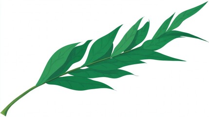 Fototapeta premium Fresh green leaves on a plant branch isolated on a white background