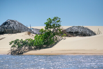 mountain landscape with trees