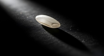 Single grain of rice dramatically lit on dark textured surface capturing essential nourishment