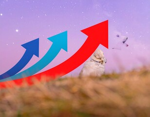 Dog sits amidst upward trending arrows under starry night