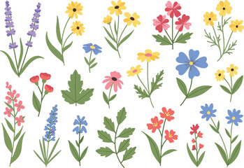 Vibrant watercolor wildflower meadow illustration with delicate blooms and greenery