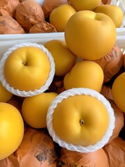 Pears in bags,  big, Yellow, mature, Succulent