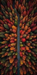Fototapeta premium Aerial view of winding forest road surrounded by red and orange trees