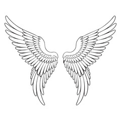 black wings vector illustration, wings silhouette vector, wings vector on white background