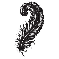 Obraz premium Elegant black feather silhouette vector