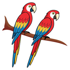 Fototapeta premium Two vibrant scarlet macaws perched on a branch