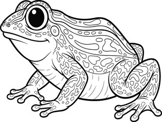 rog line drawing, black and white illustration, crouched frog pose, detailed skin texture, educational art, biology sketch, coloring page design