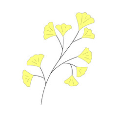 Ginkgo biloba leaf. Yellow leaf. Nature theme. Autumn. Vector illustration.
