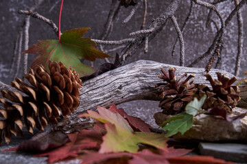 Moody fall woodland arrangement—pine cones and colorful maple leaves scattered across weathered driftwood & stones, with textured branches behind. Ideal for seasonal, harvest and Thanksgiving designs