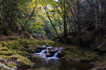 日本の風景・秋　三重県名張市　紅葉の赤目四十八滝　姉妹滝