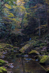 日本の風景・秋　三重県名張市　紅葉の赤目四十八滝