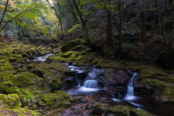日本の風景・秋　三重県名張市　紅葉の赤目四十八滝　姉妹滝