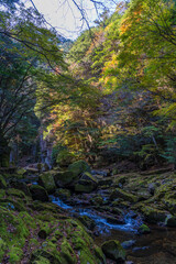 日本の風景・秋　三重県名張市　紅葉の赤目四十八滝