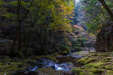 日本の風景・秋　三重県名張市　紅葉の赤目四十八滝
