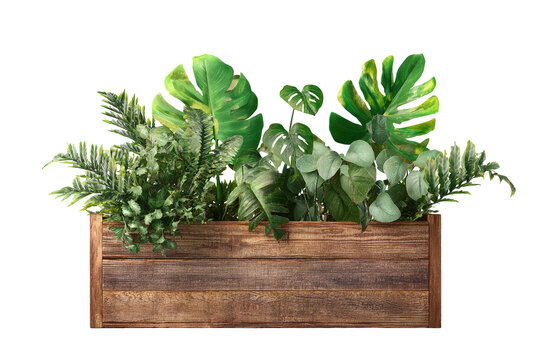 Wooden planter box filled with lush greenery