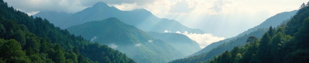 Obraz premium Majestic mountain range shrouded in mist, towering trees clinging to steep slopes, sunlight filtering through the canopy, creating a dramatic and serene forest landscape , vegetation, pristine