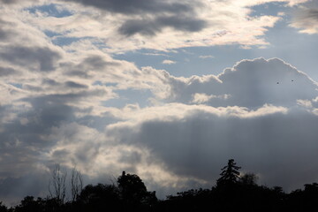 Dreamy Skies and Silhouettes of Trees on Horizon