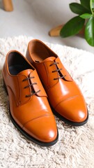 Polished tan leather dress shoes on a textured surface
