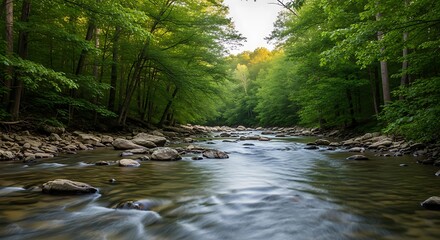 Obraz premium Serene Forest River Flowing.