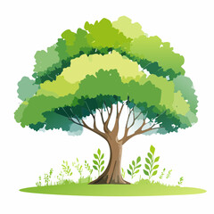 Vector watercolor green tree side view isolated on white background for landscape and architecture layout drawing, elements for environment and garden