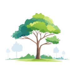 Vector watercolor of pine tree side view isolated on white background for landscape and architecture drawing, elements for environment and garden, painting botanical for section and .