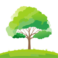 abstract watercolor green tree side view isolated on white background for landscape and architecture layout drawing, elements for environment and garden, tree .