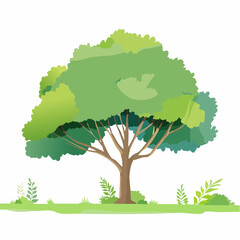 watercolor of tree side view isolated on white background for landscape and architecture drawing, elements for environment and garden, painting botanical for secti