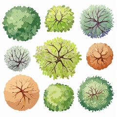 set of watercolor tree top view for landscape plan and architecture element