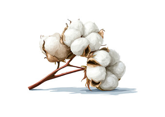 Three fluffy cotton bolls on a branch, resting on a light-gray surface