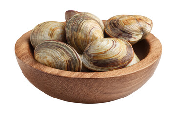 Fresh clams in wooden bowl