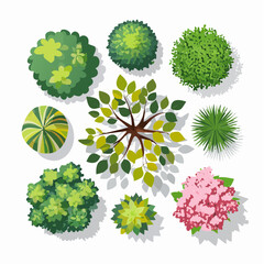 Top-Down View Vector Collection of Trees for Landscape Plans and Architectural Designs, Botanical Elements for Gardens, Spring Blooming Tropical Plants, Hand-Drawn Illustrations