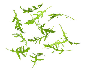 Flying many fresh arugula leaves on white background