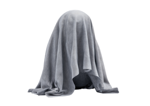 A shrouded, light gray, smooth head-like form